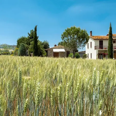 San Marcello * Castiglione d'Orcia